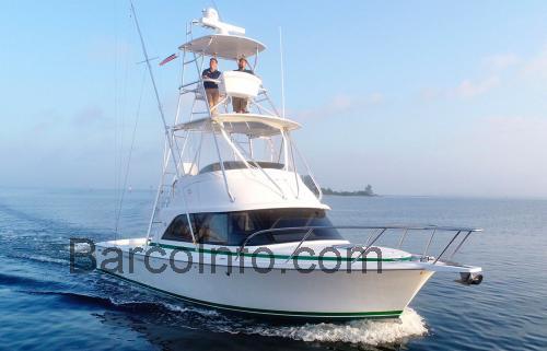 Bertram 35 Express ficha técnica y opiniones